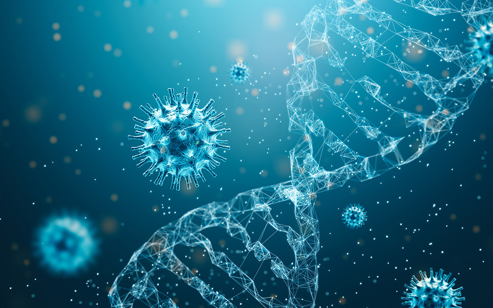 NK細胞療法とは？